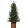 Fir Wood * | 4.5Ft Haute Decor Pre-Lit Led New Haven Fraser Fir Potted Artificial Christmas Tree White Lights