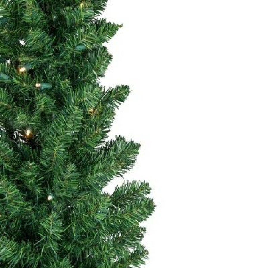 Balsam Fir * | Northlight 6 Pre-Lit Led Northern Balsam Fir Pencil Artificial Christmas Tree, Warm Clear Lights