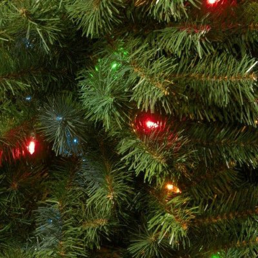 Spruce * | 6Ft National Tree Company Kincaid Spruce Artificial Tree Led Bulb Multicolored