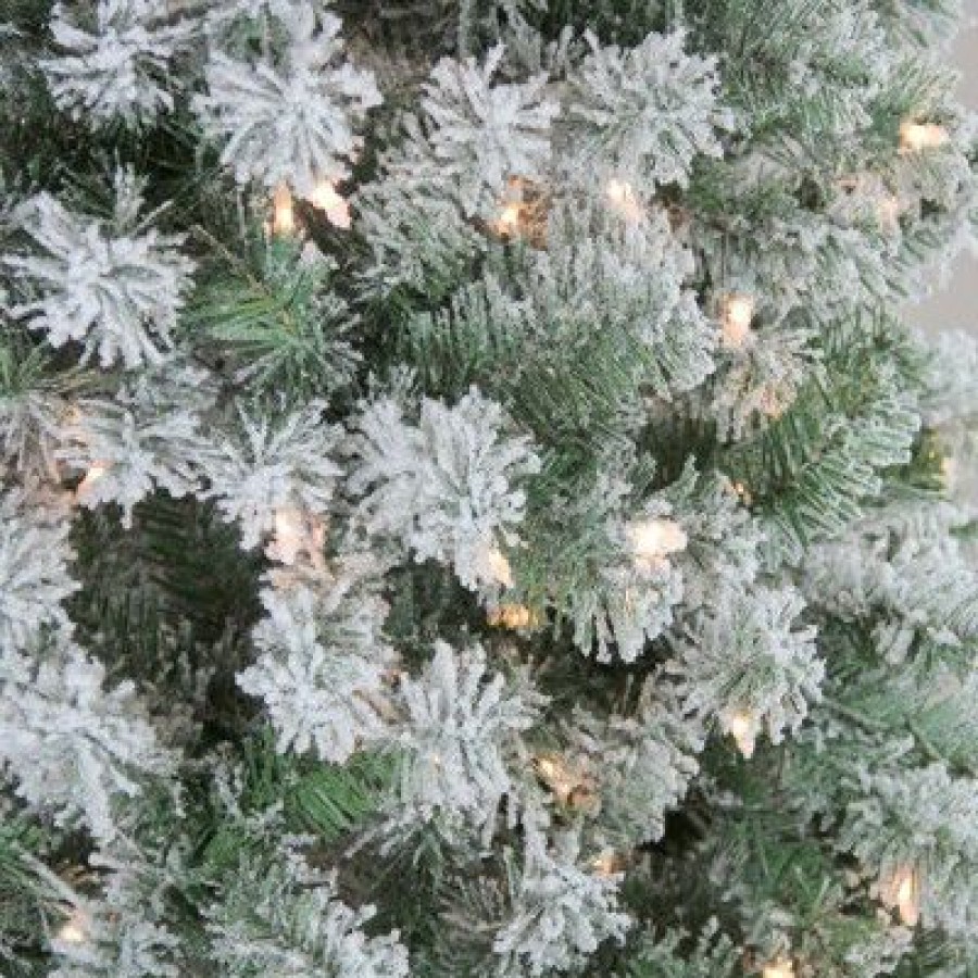 Pine * | Northlight 7.5 Prelit Artificial Christmas Tree Flocked Winema Pine Clear Lights