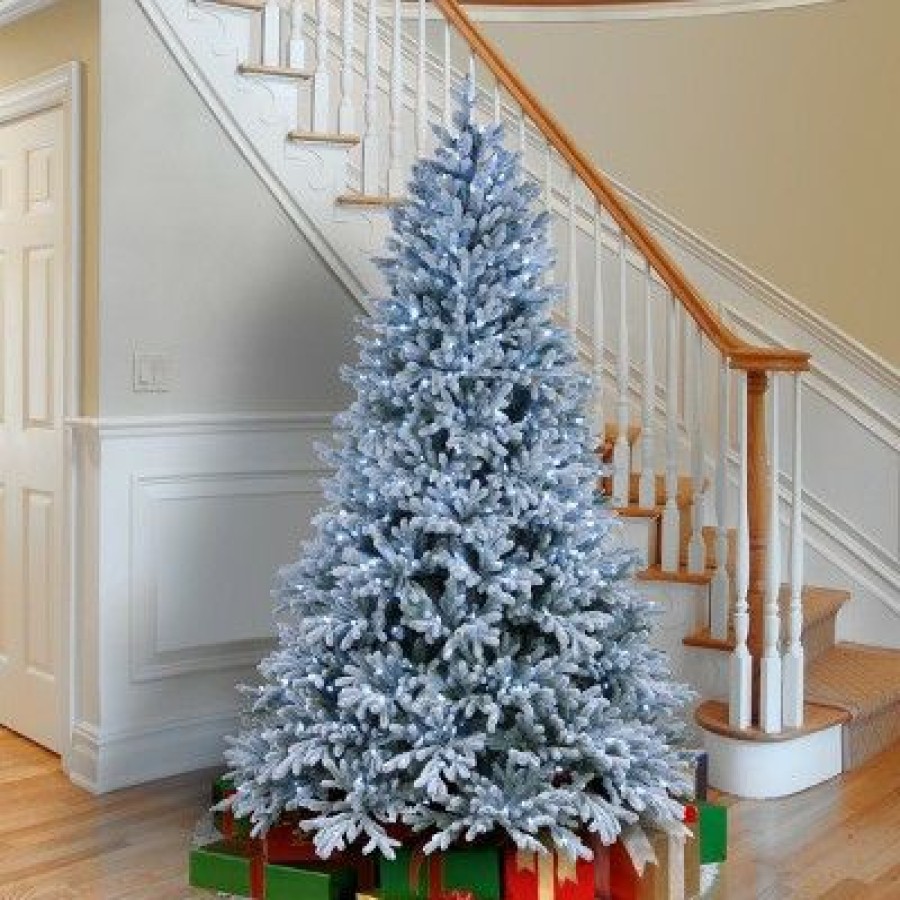 Spruce * | National Tree Company 7.5 Ft. Snowy Hamilton Spruce Tree With Cool White Led Lights