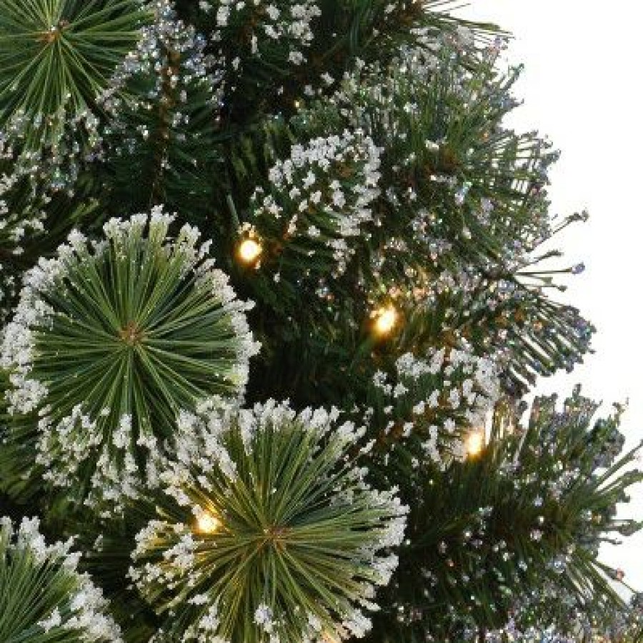 Spruce * | 2Ft Puleo Pre-Lit Flocked Tabletop Artificial Christmas Tree Clear Lights