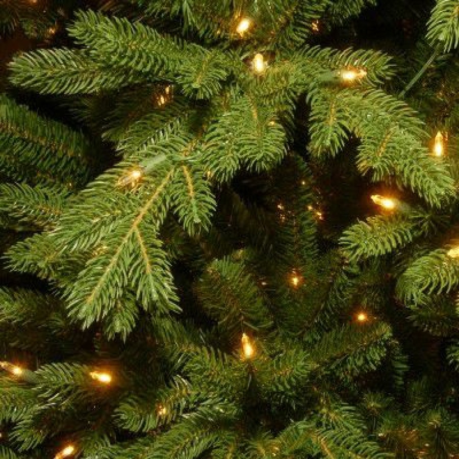 Fir Wood * | National Tree Company 7.5 Ft. Powerconnect(Tm) Princeton Fraser Fir With Dual Color Led Lights