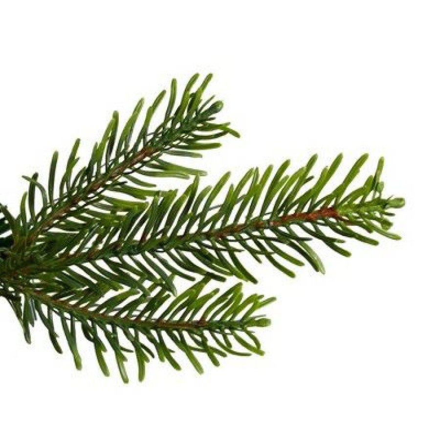 Pine * | Northlight 6.5 Woodcrest Pine Artificial Christmas Tree Unlit