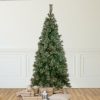 Pine * | Northlight 6.5 Pre-Lit Oregon Cashmere Pine Artificial Christmas Tree, Clear Lights