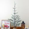 Pine * | Northlight 4 Snow Covered Frosted Pine Artificial Christmas Tree With Jute Base Unlit