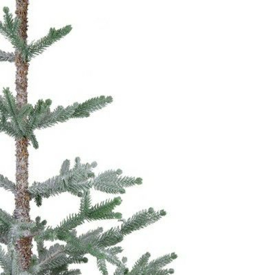 Pine * | Northlight 4 Snow Covered Frosted Pine Artificial Christmas Tree With Jute Base Unlit