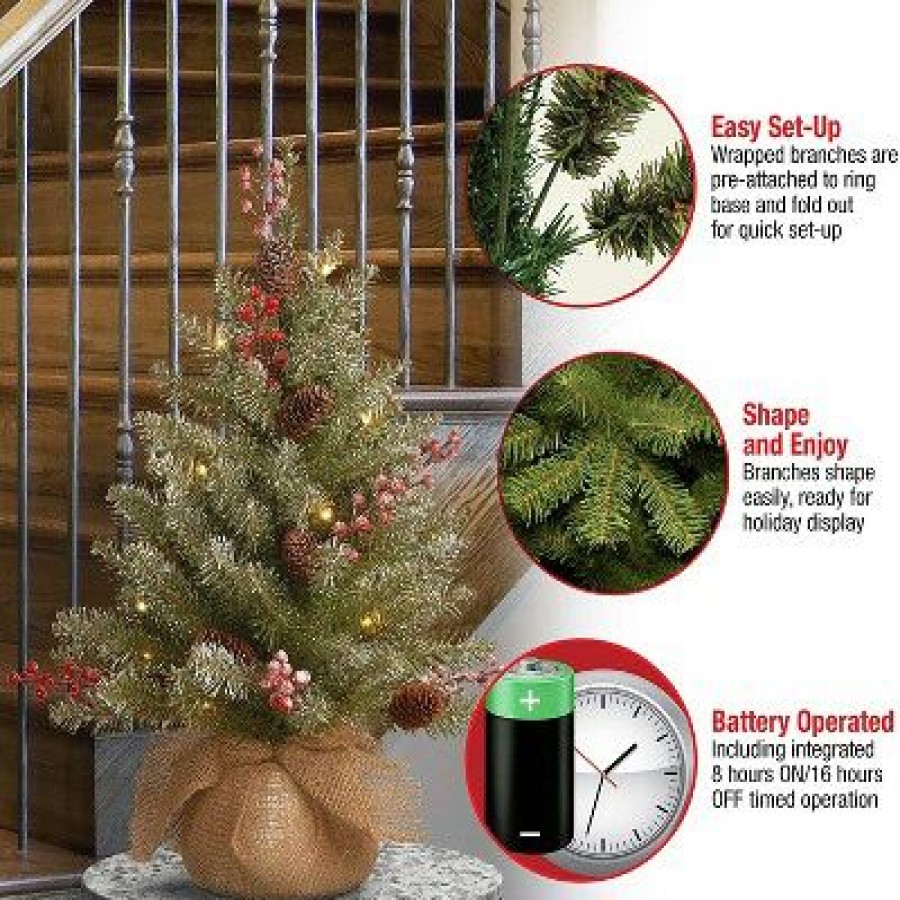 Fir Wood * | National Tree Company Dunhill Fir 2 Foot Pre Lit Mini Artificial Christmas Tree, Battery W/Timer, White Led Lights, Red Berries, Pinecones, Burlap Pot