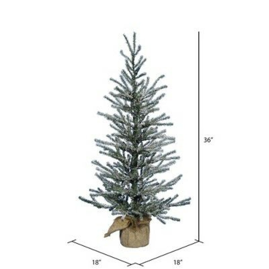 Unidentified Plant Variety * | Vickerman Frosted Angel Pine Artificial Christmas Tabletop Tree