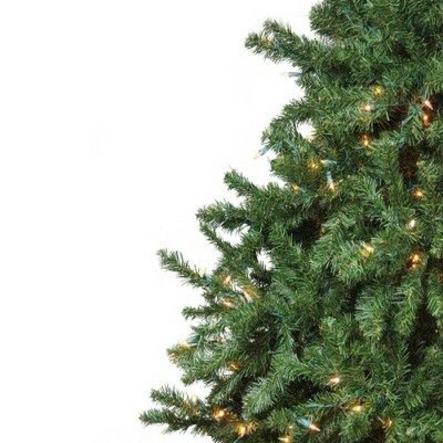 Pine * | Northlight 15 Pre-Lit Canadian Pine Commercial Artificial Christmas Tree Warm White Lights