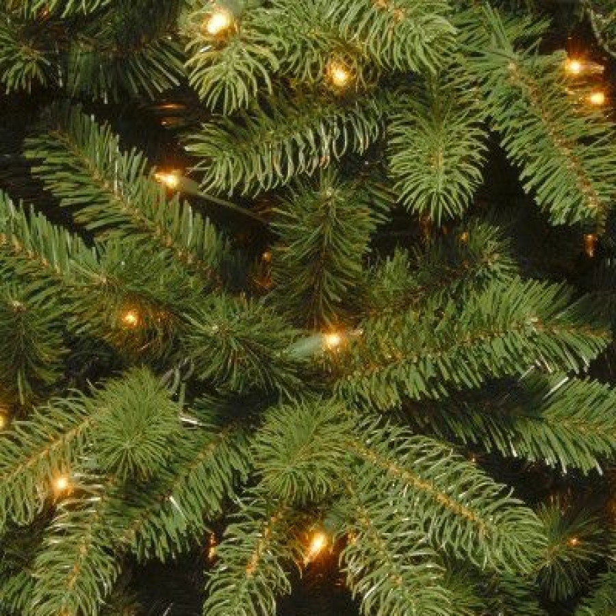 Spruce * | National Tree Company 8 Ft. Newberry Spruce Tree With Clear Lights