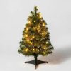 Alberta Spruce * | 2Ft Pre-Lit Alberta Spruce Clear Lights Artificial Christmas Tree Wondershop