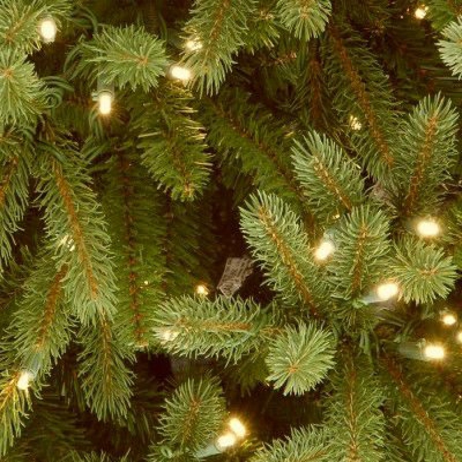 Fir Wood * | National Tree Company 4.5 Ft. Jersey Fraser Fir Tree With Clear Lights