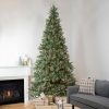 Fir Wood * | Northlight 9 Pre-Lit Granville Fraser Fir Artificial Christmas Tree, Clear Lights