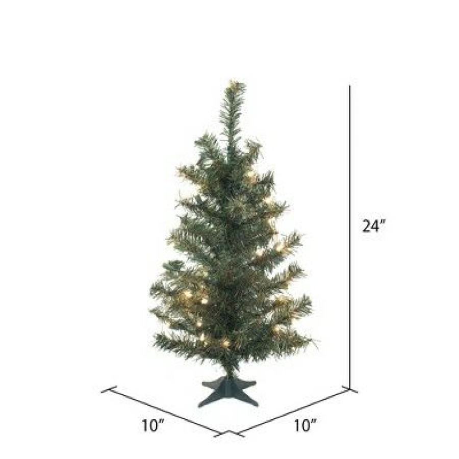 Unidentified Plant Variety * | Vickerman Canadian Pine Artificial Christmas Tree