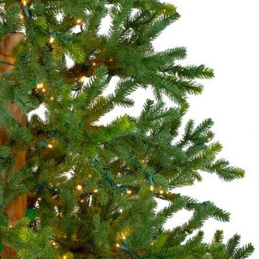 Pine * | Northlight 6.5 Prelit Artificial Christmas Tree Led North Pine Clear Lights