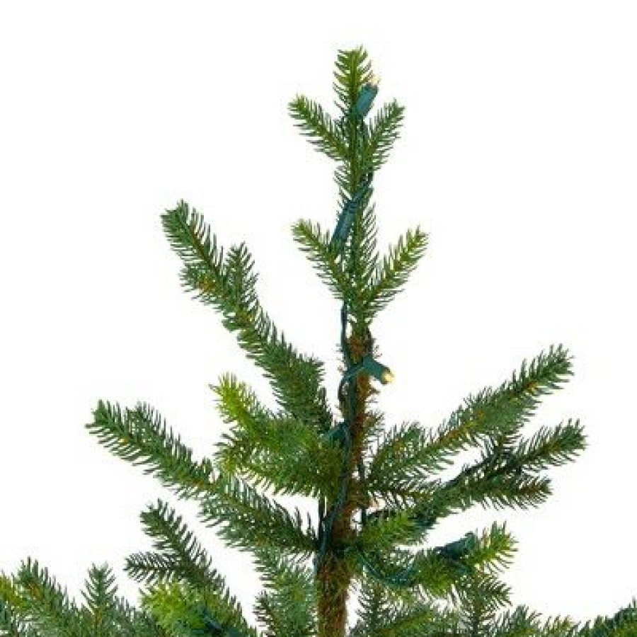 Pine * | Northlight 6.5 Prelit Artificial Christmas Tree Led North Pine Clear Lights