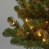 Alberta Spruce * | 4' Pre-Lit Alberta Spruce Potted Artificial Christmas Tree Clear Lights Wondershop