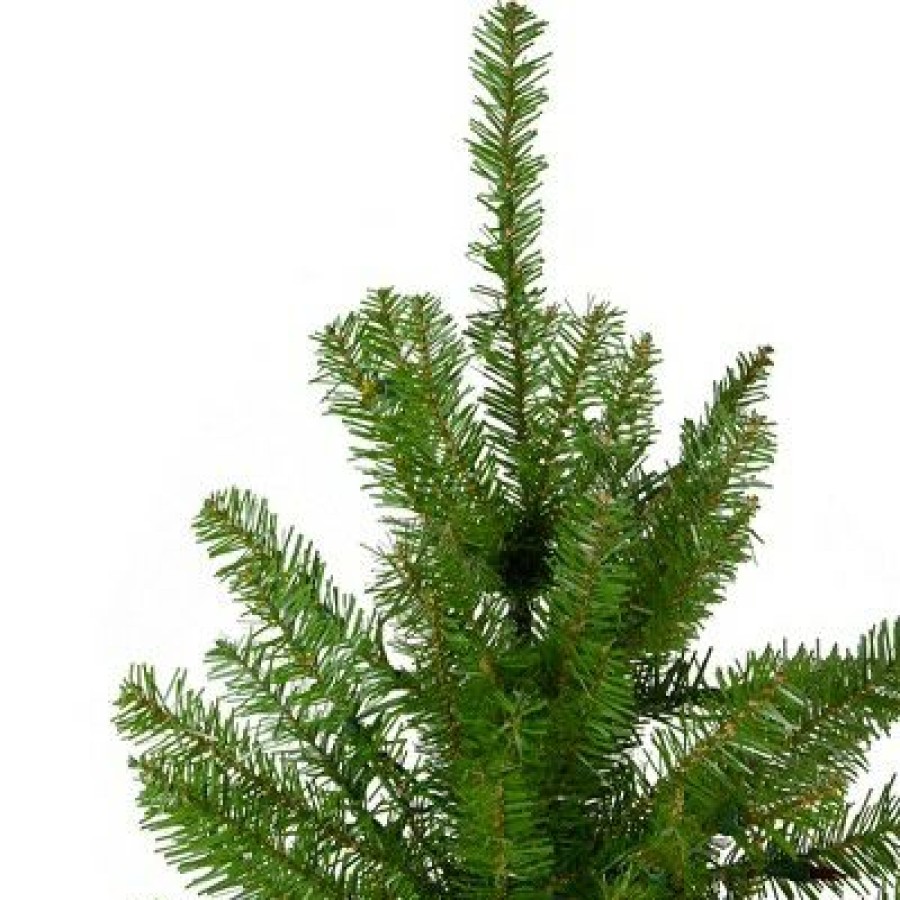 Pine * | Northlight 7.5 Unlitartificial Christmas Tree Full Northern Pine