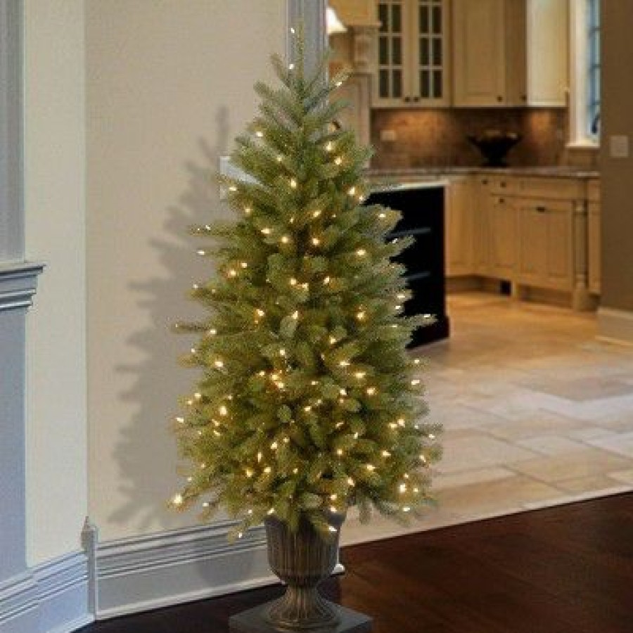 Fir Wood * | National Tree Company 4 Ft. Jersey Fraser Fir Entrance Tree With Clear Lights