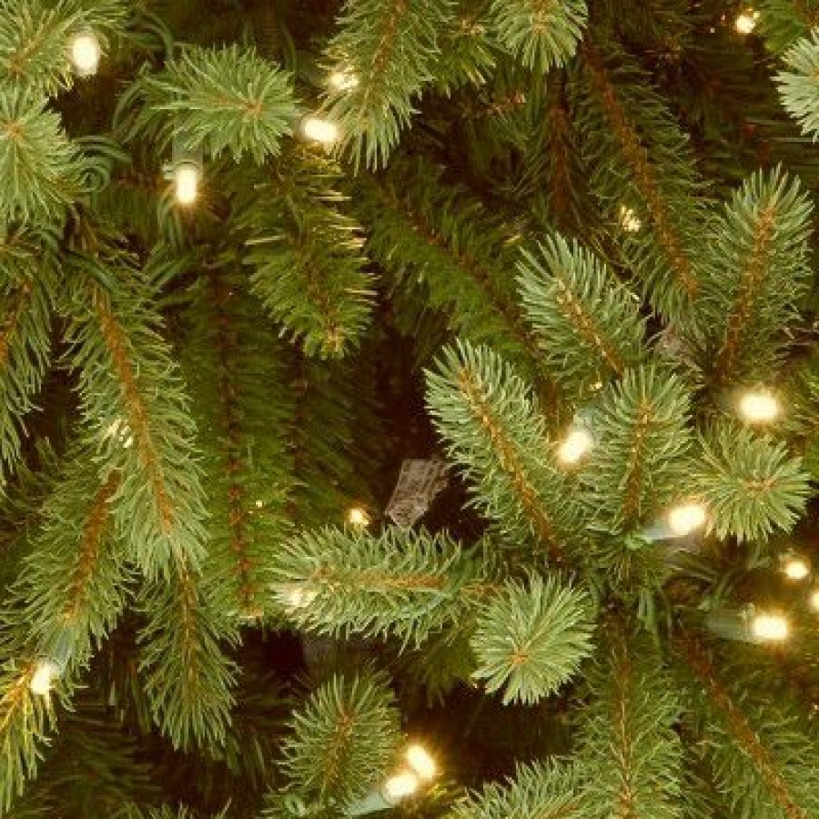 Fir Wood * | National Tree Company 4 Ft. Jersey Fraser Fir Entrance Tree With Clear Lights