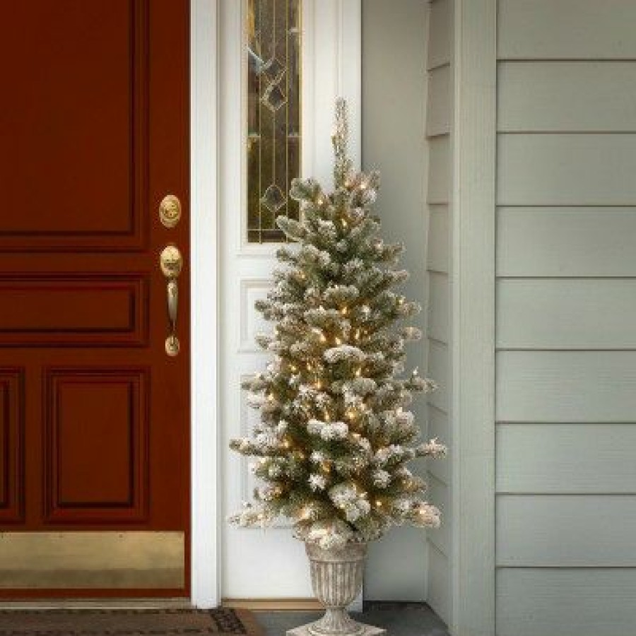 Spruce * | National Tree Company 4 Ft. Snowy Sheffield Spruce Entrance Tree With Clear Lights