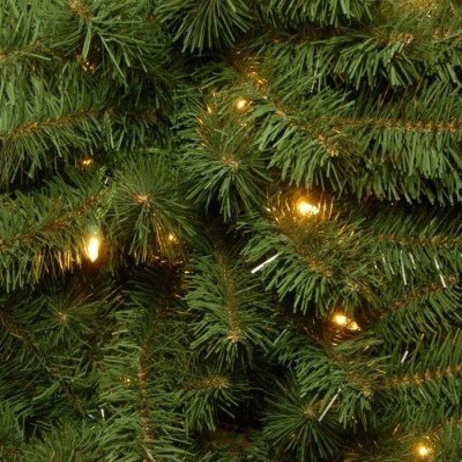 Spruce * | National Tree Company 4Ft National Christmas Tree Company Pre-Lit Kincaid Spruce Christmas Tree With 100 Clear Lights