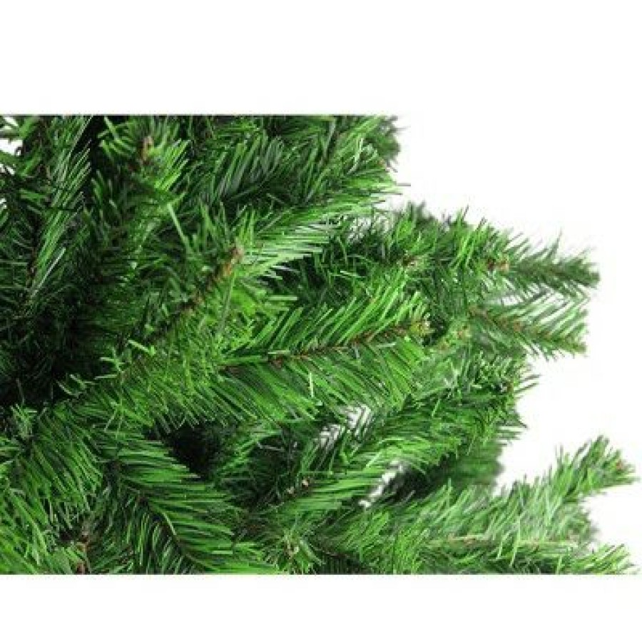 Pine * | Northlight 6 Deluxe Colorado Forest Hinged Artificial Christmas Tree Unlit