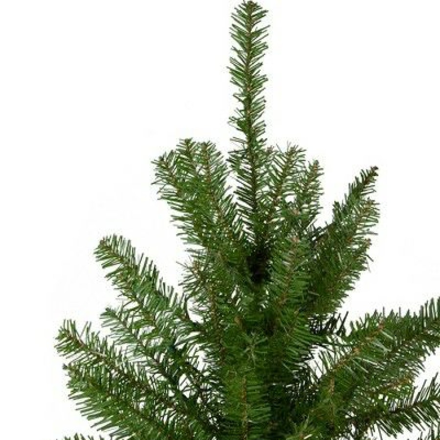 Pine * | Northlight 4 Northern Pine Medium Artificial Christmas Tree, Unlit