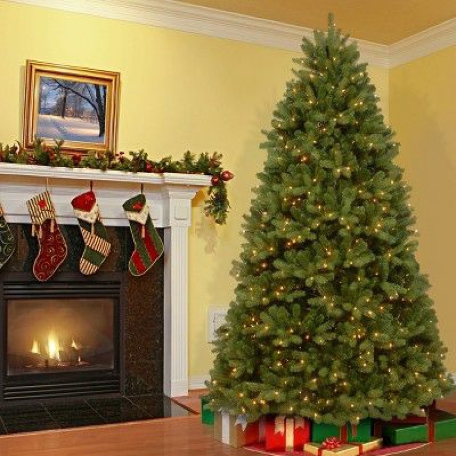 Spruce * | National Tree Company 7.5 Ft. Powerconnect(Tm) Newberry Spruce With Dual Color Led Lights