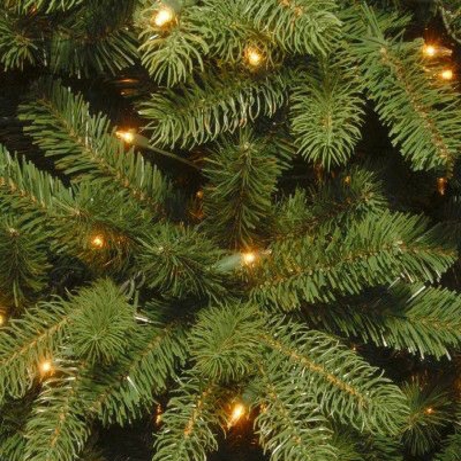 Spruce * | National Tree Company 7.5 Ft. Powerconnect(Tm) Newberry Spruce With Dual Color Led Lights