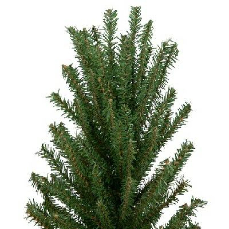 Pine * | Northlight 24 Traditional Scottsdale Mini Pine Artificial Christmas Tree With Burlap, Unlit