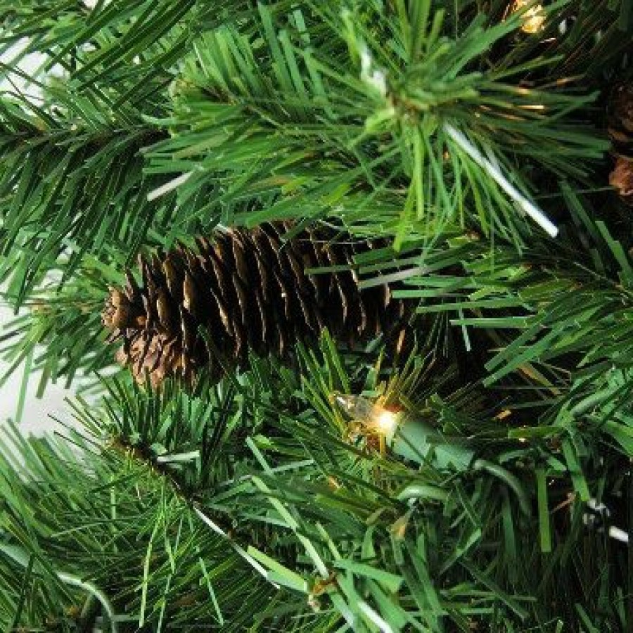 Pine * | Northlight 7.5 Prelit Artificial Christmas Tree Dakota Pine Full Clear Lights