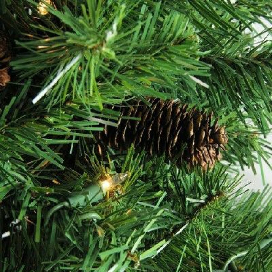 Pine * | Northlight 7.5 Prelit Artificial Christmas Tree Dakota Pine Full Clear Lights