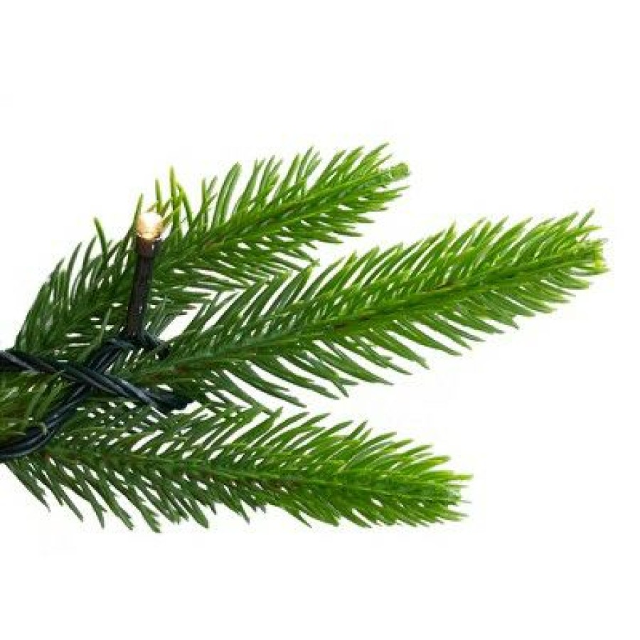 Pine * | Northlight 6.5 Pre-Lit Gunnison Pine Artificial Christmas Tree Clear Lights