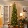 Fir Wood * | National Tree Company Pre-Lit 'Feel Real' Artificial Slim Downswept Christmas Tree, Green, Douglas Fir, White Lights, Includes Stand, 9 Feet