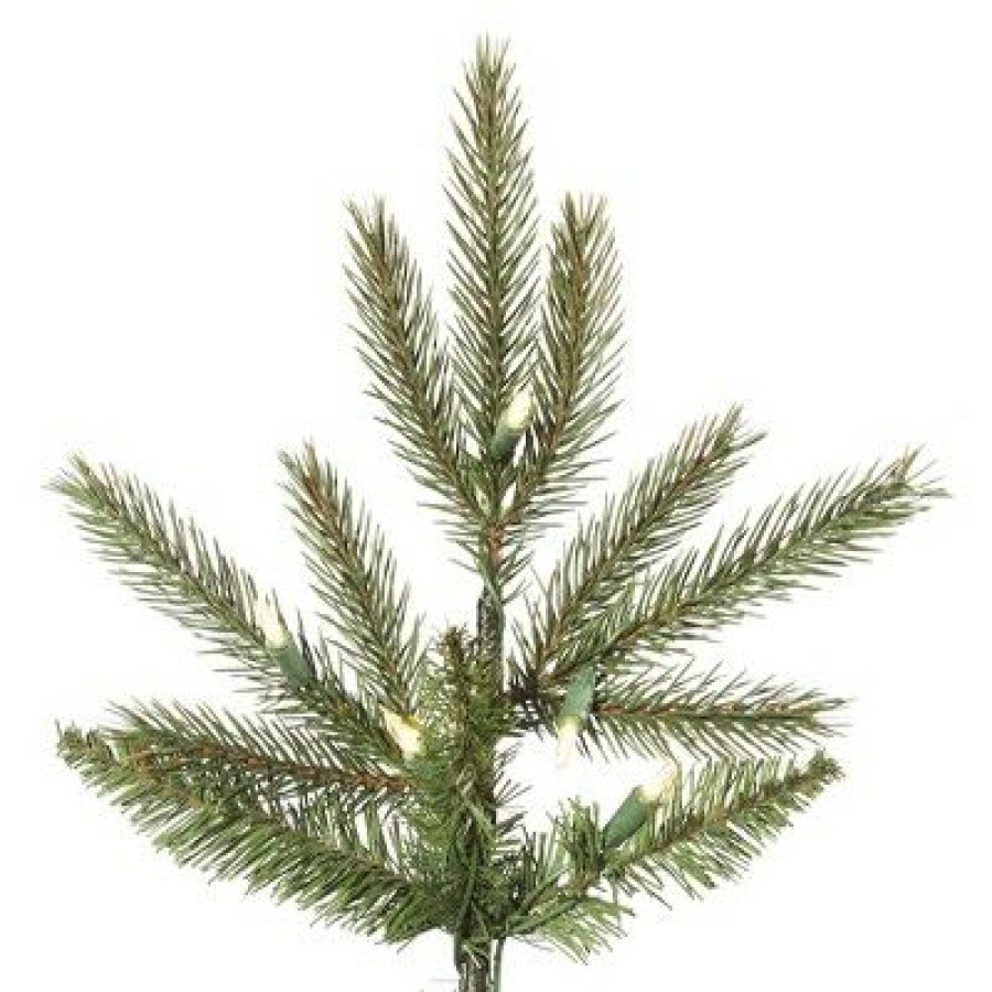 Unidentified Plant Variety * | Vickerman Carlsbad Fir Christmas Tree Warm White