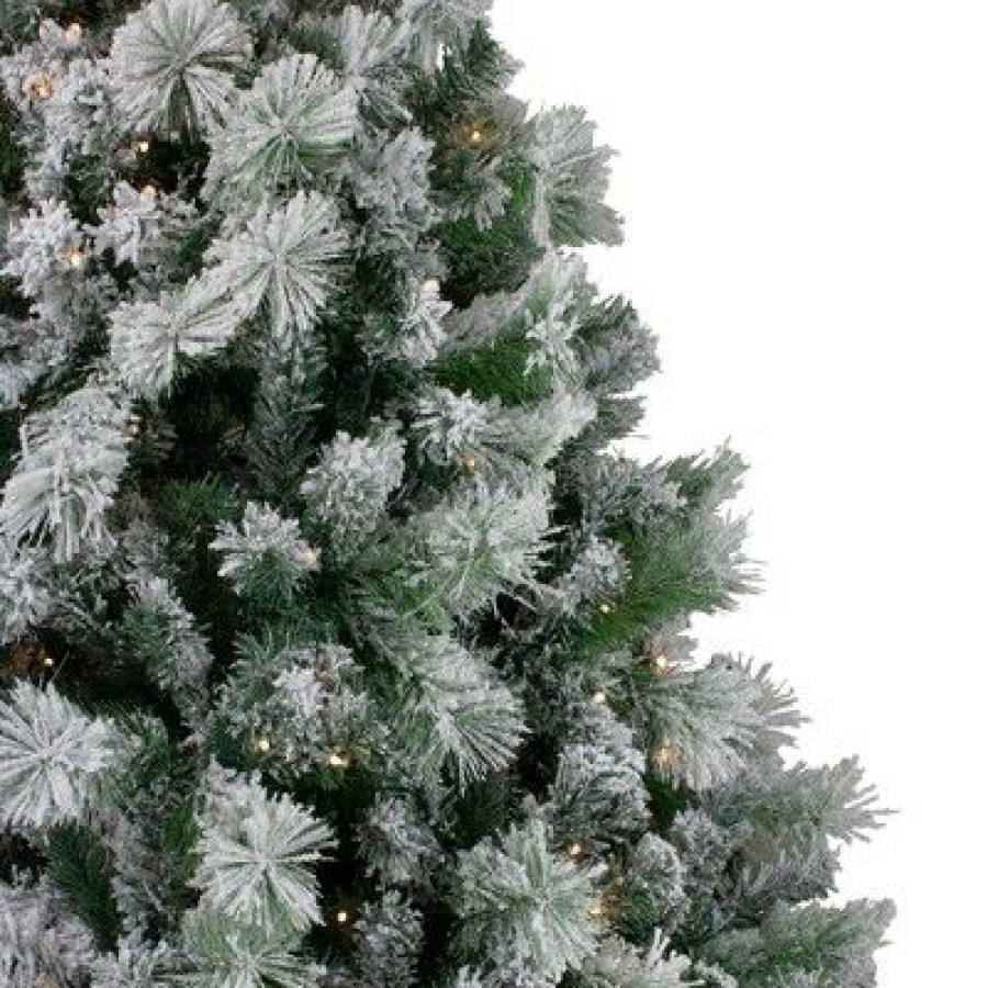 Spruce * | Northlight 6.5 Pre-Lit Flocked Somerset Spruce Artificial Christmas Tree Clear Lights