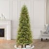 Unidentified Plant Variety * | Primo International Puleo International 6.5 Foot Fraser Fir Prelit Artificial Slim Christmas Tree With 350 Ul Listed Clear Lights, 1125 Branch Tips & Metal Stand, Green