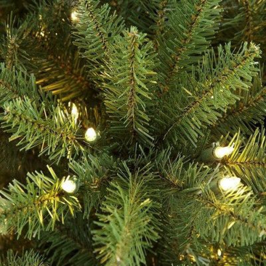 Unidentified Plant Variety * | Primo International Puleo International 6.5 Foot Fraser Fir Prelit Artificial Slim Christmas Tree With 350 Ul Listed Clear Lights, 1125 Branch Tips & Metal Stand, Green