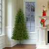 Fir Wood * | National Tree Company 7.5 Ft. Canadian Grande Fir Tree