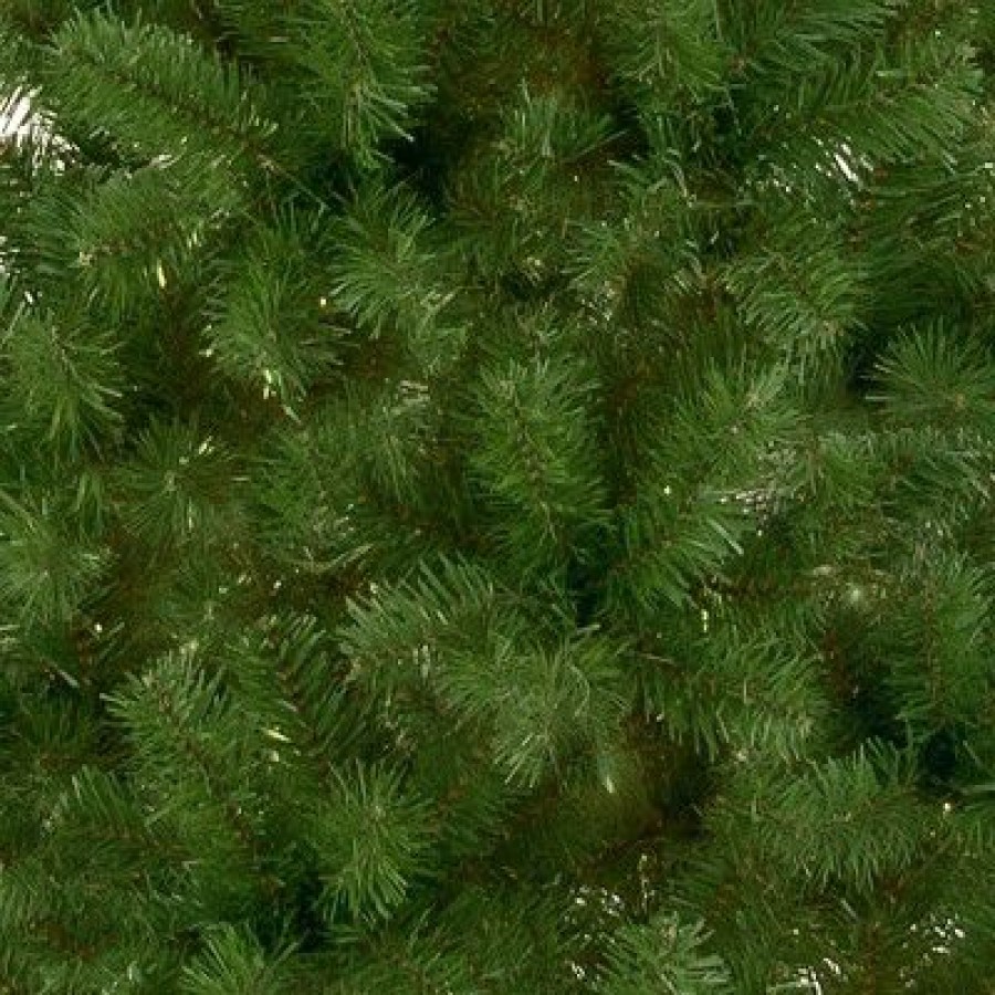 Fir Wood * | National Tree Company 7.5 Ft. Canadian Grande Fir Tree