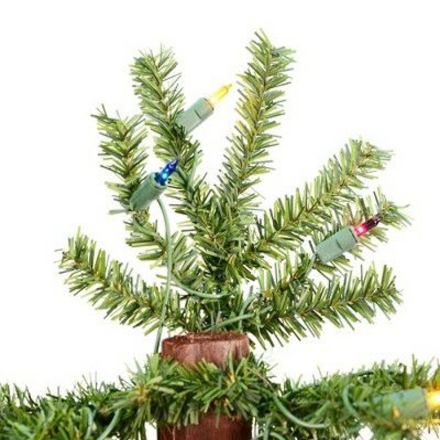 Unidentified Plant Variety * | Vickerman Natural Alpine Artificial Christmas Tree Set