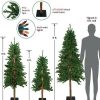 Pine * | Northlight 3Ct Pre-Lit Alpine Artificial Christmas Trees 4Ft, 5Ft And 6Ft Multi Lights