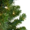 Pine * | Northlight 5 Prelit Artificial Christmas Tree Medium Canadian Pine Clear Lights