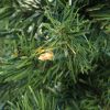 Pine * | Northlight 4 Pre-Lit Niagara Pine Medium Artificial Christmas Tree Clear Lights