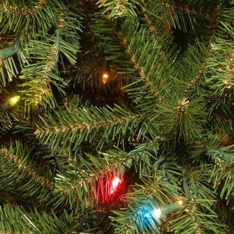 Spruce * | National Tree Company Pre-Lit Artificial Slim Christmas Tree, Green, Aspen Spruce, Multicolor Lights, Includes Stand, 7 Feet