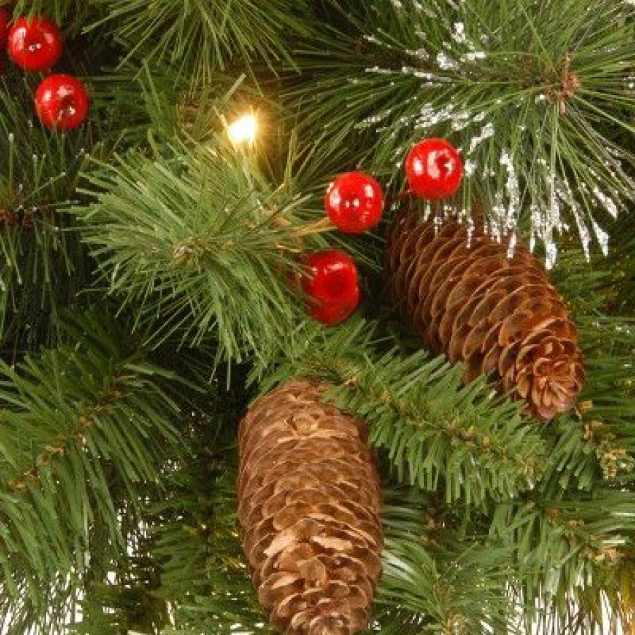 Spruce * | National Tree Company Pre-Lit Artificial Mini Christmas Tree, Green, Crestwood Spruce, White Lights, Pine Cones, Frosted Branches, Pot Base, 2 Feet