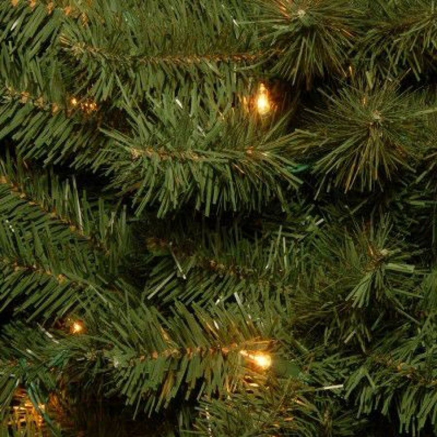 Fir Wood * | National Tree Company Pre-Lit Artificial Full Christmas Tree, Green, Canadian Fir Grande, White Lights, Includes Stand, 4 Feet