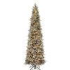 Fir Wood * | Haute Decor Haute Decor 9' Pre-Lit Led Flocked Lexington Artificial Christmas Tree White Lights